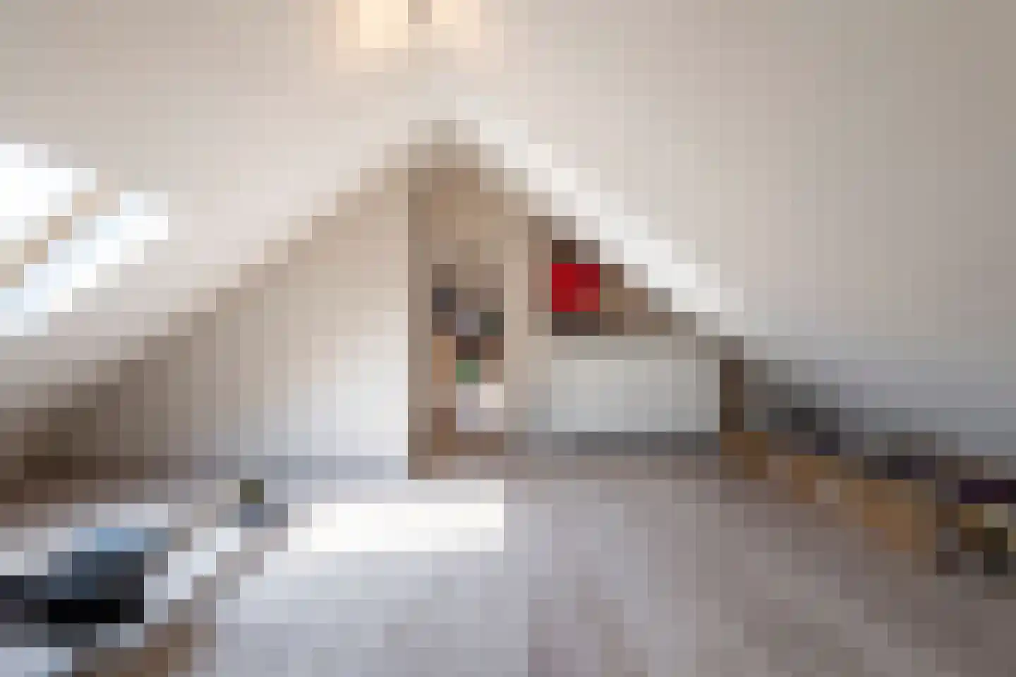 Weidestraat 11 Haskerdijken thumbnail 23