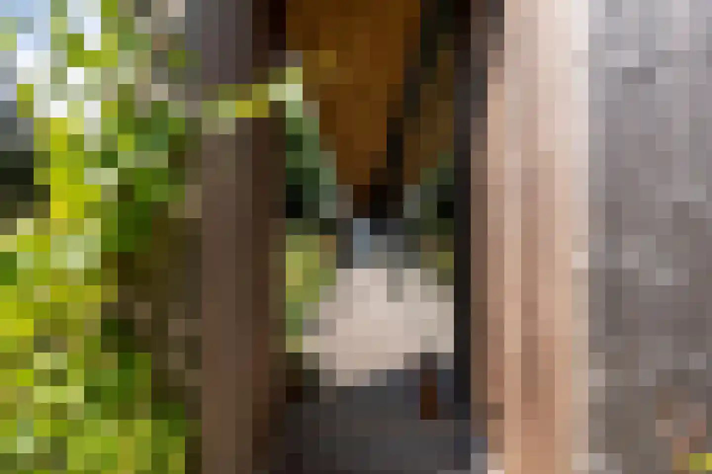 Weidestraat 11 Haskerdijken foto 3