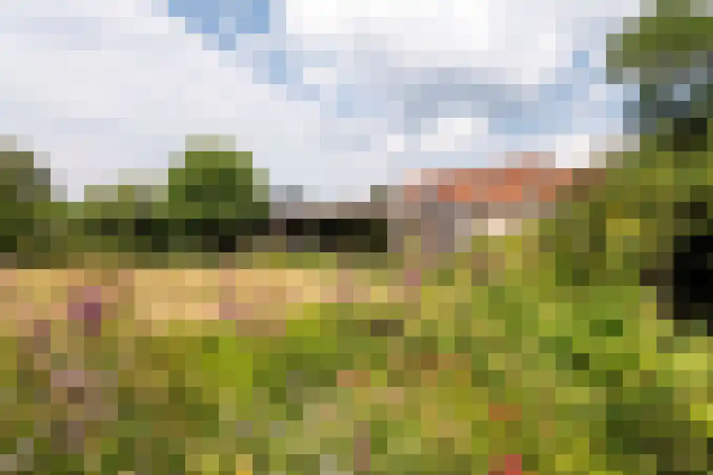 Weidestraat 11 Haskerdijken thumbnail 30