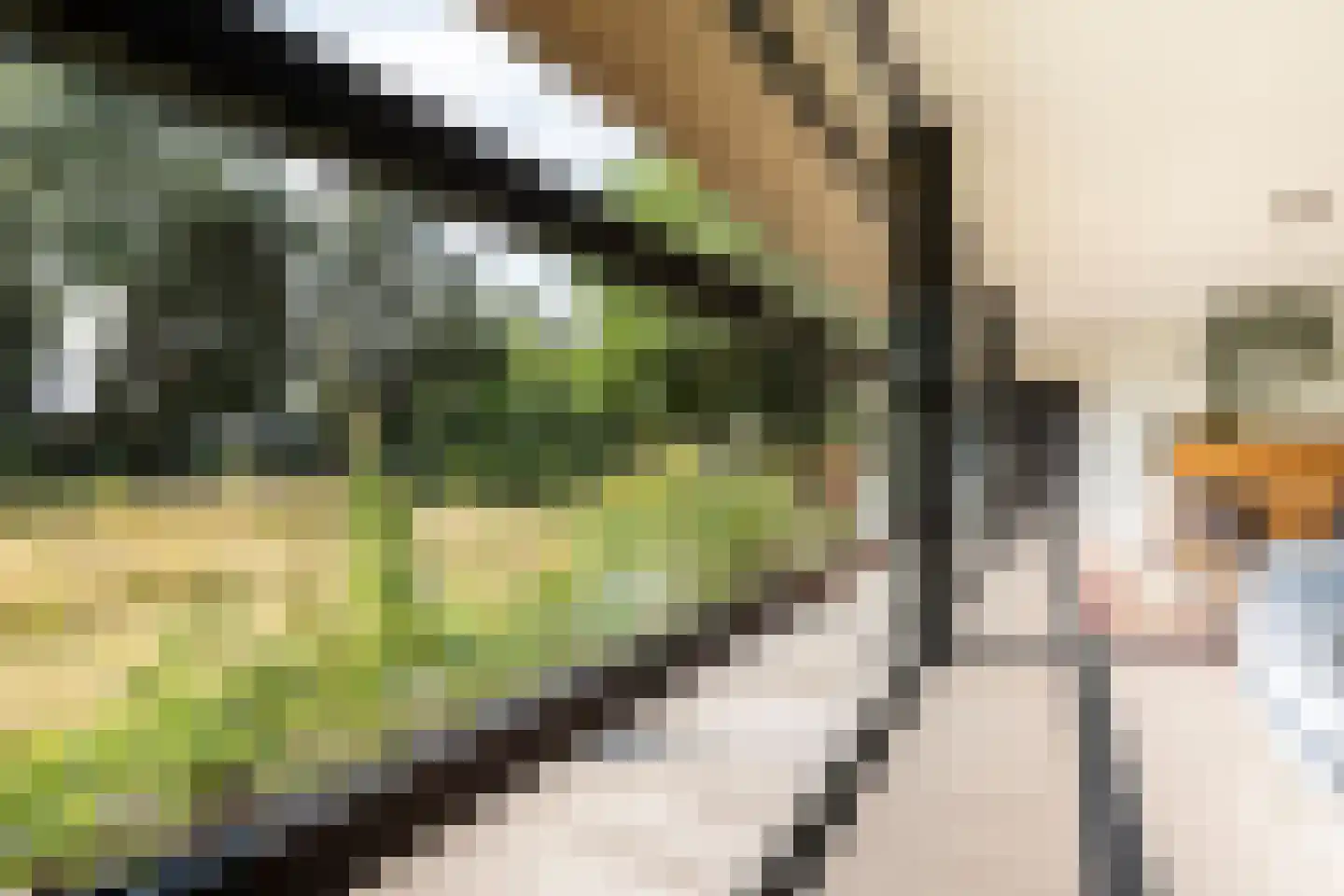 Weidestraat 11 Haskerdijken thumbnail 7