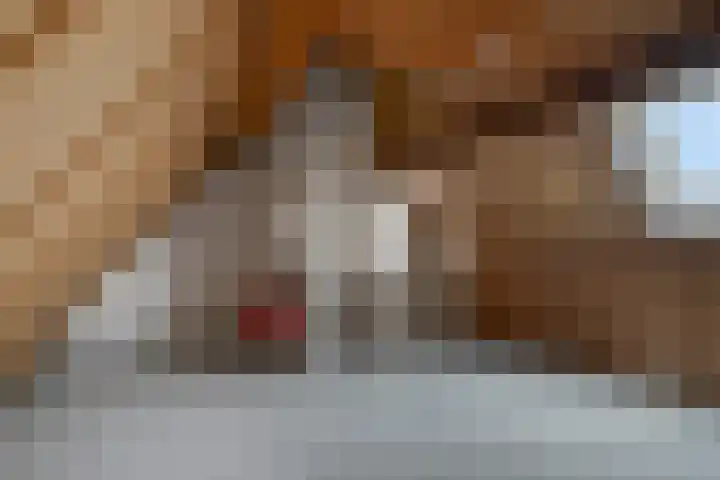 Weidestraat 12 Nistelrode thumbnail 24