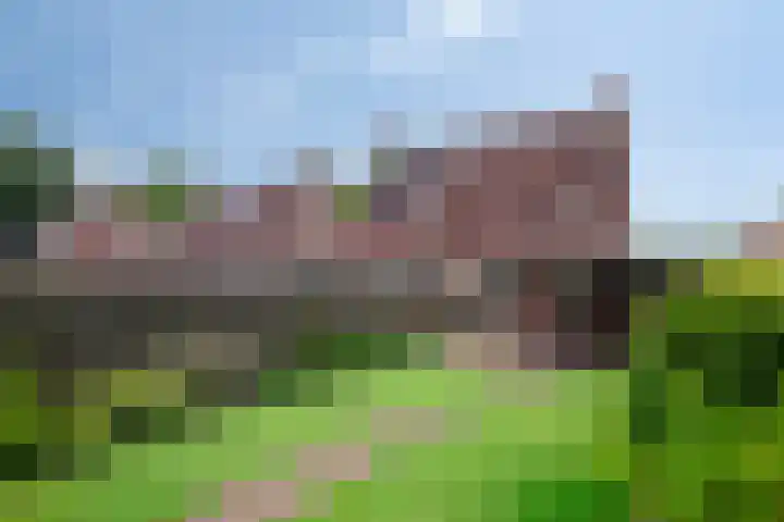 Weidestraat 12 Nistelrode thumbnail 26