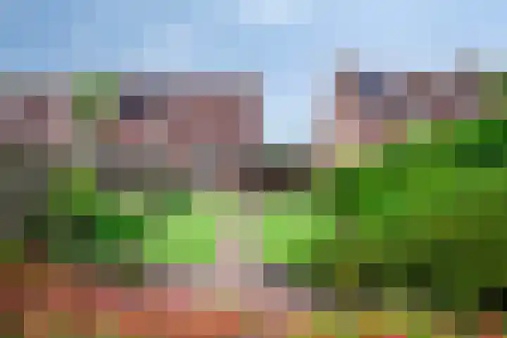 Weidestraat 12 Nistelrode thumbnail 27