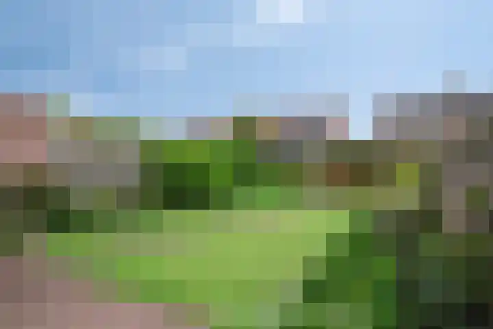 Weidestraat 12 Nistelrode thumbnail 28