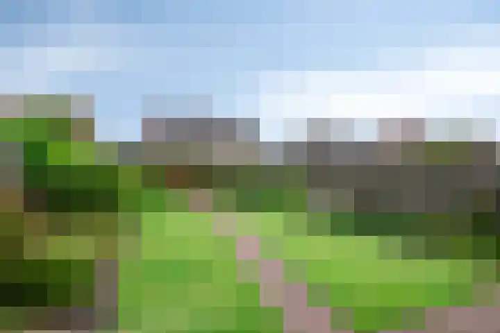 Weidestraat 12 Nistelrode thumbnail 29