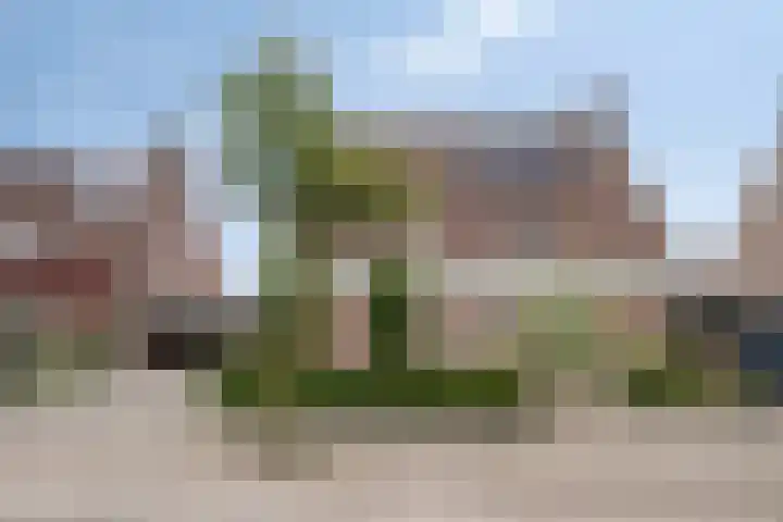 Weidestraat 12 Nistelrode thumbnail 32