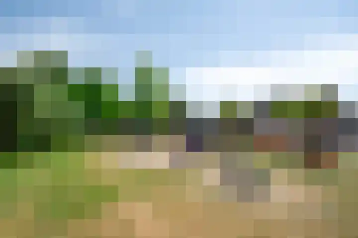 Weidestraat 12 Nistelrode thumbnail 33