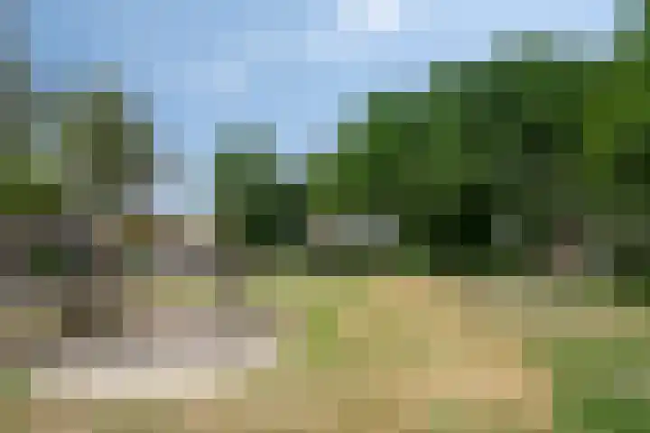 Weidestraat 12 Nistelrode thumbnail 34