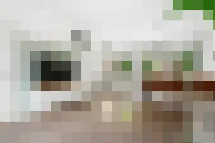 Weidestraat 13 Amsterdam thumbnail 6