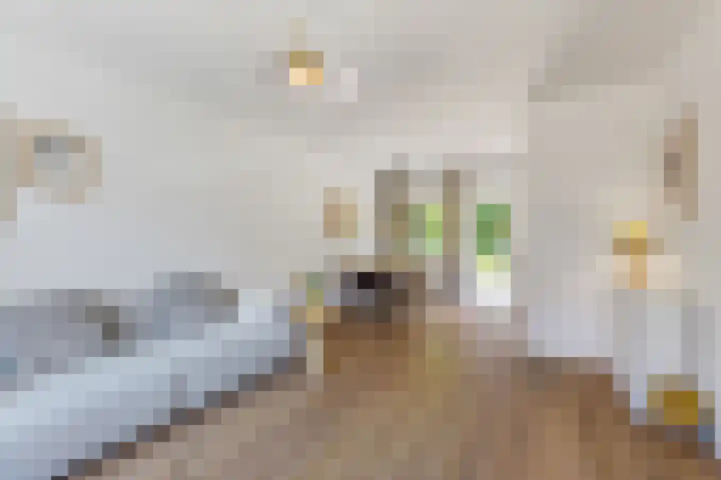 Weidestraat 15 Amsterdam thumbnail 6