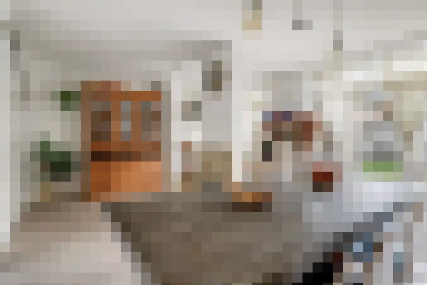 Weidestraat 2 Didam thumbnail 13