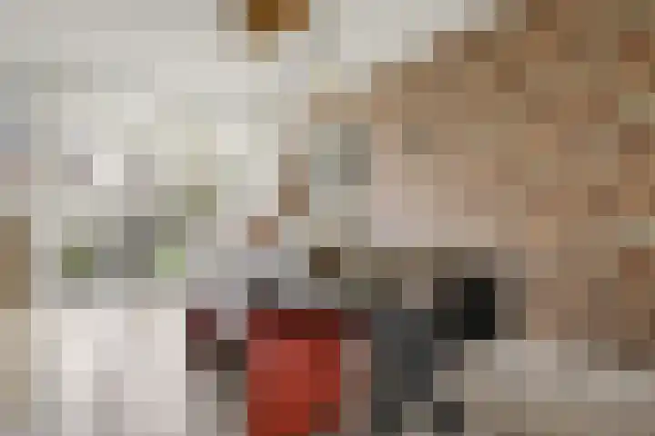 Weidestraat 2 Didam thumbnail 14