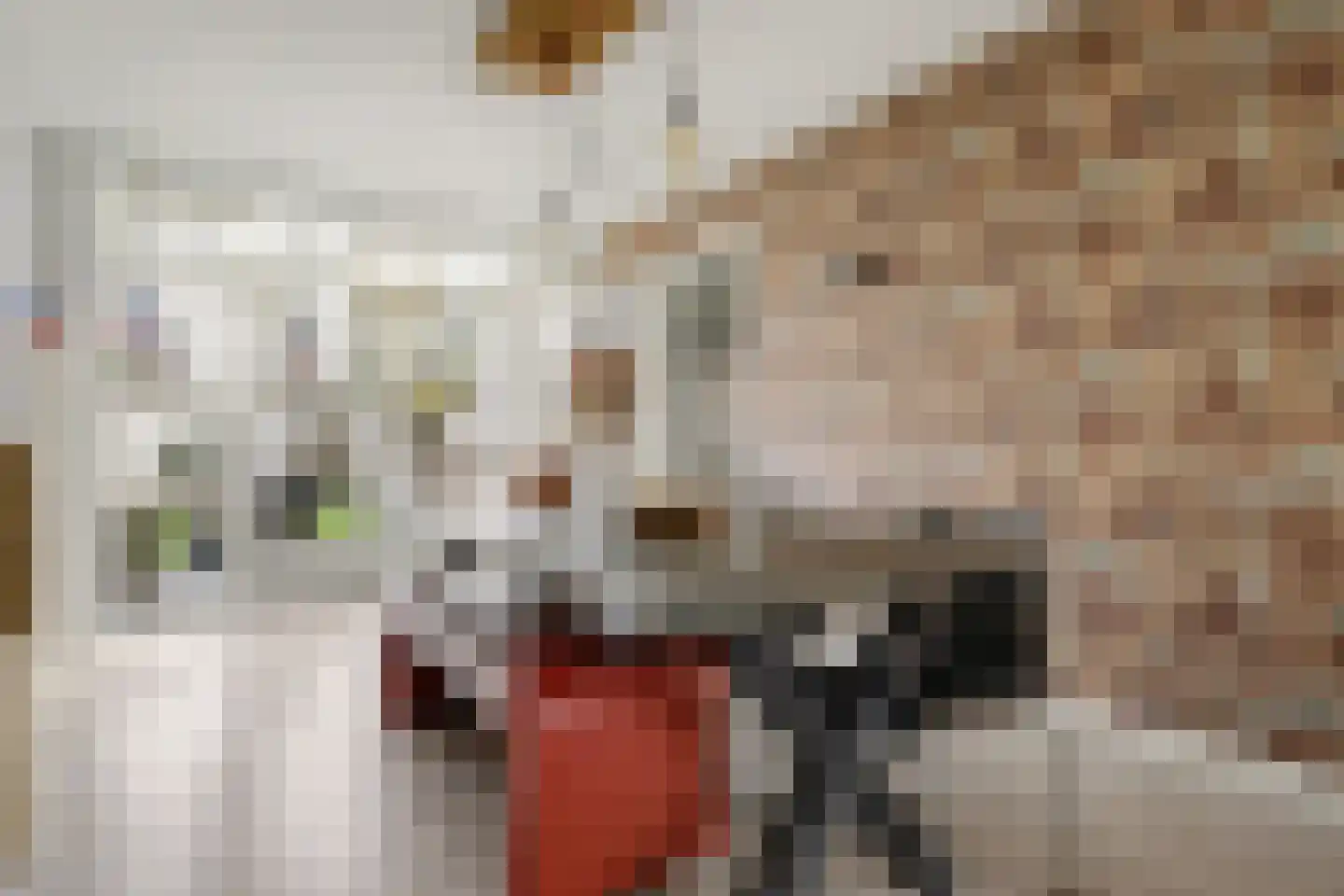 Weidestraat 2 Didam thumbnail 14