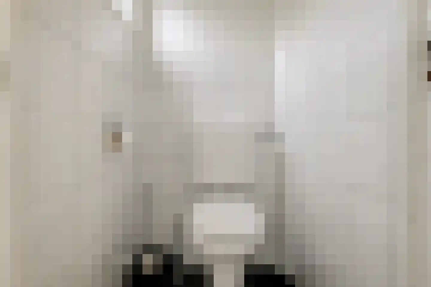 Weidestraat 2 Didam thumbnail 19