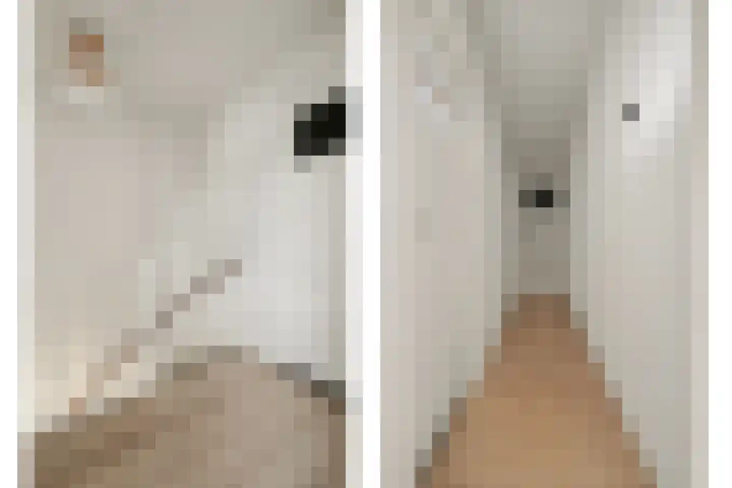 Weidestraat 2 Didam thumbnail 20