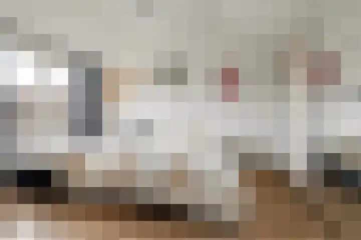 Weidestraat 2 Didam thumbnail 21