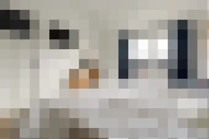 Weidestraat 2 Didam thumbnail 22