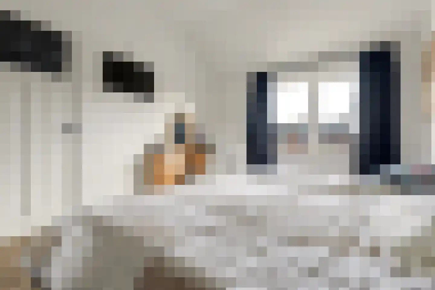 Weidestraat 2 Didam thumbnail 22