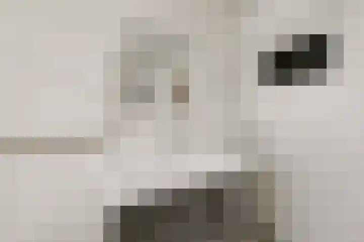 Weidestraat 2 Didam thumbnail 27