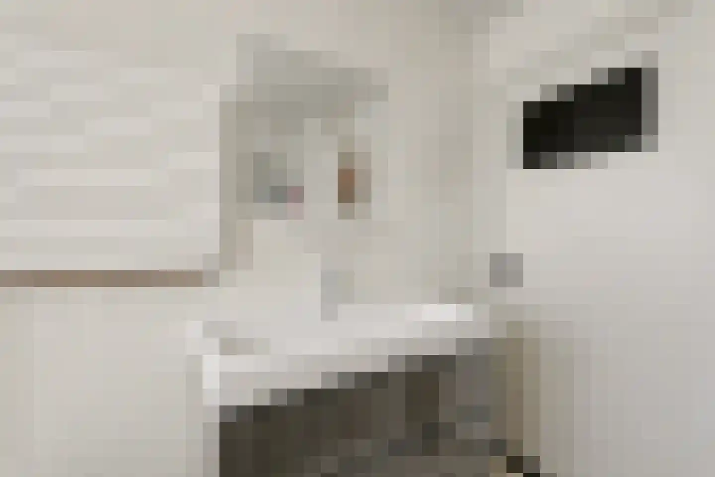 Weidestraat 2 Didam thumbnail 27