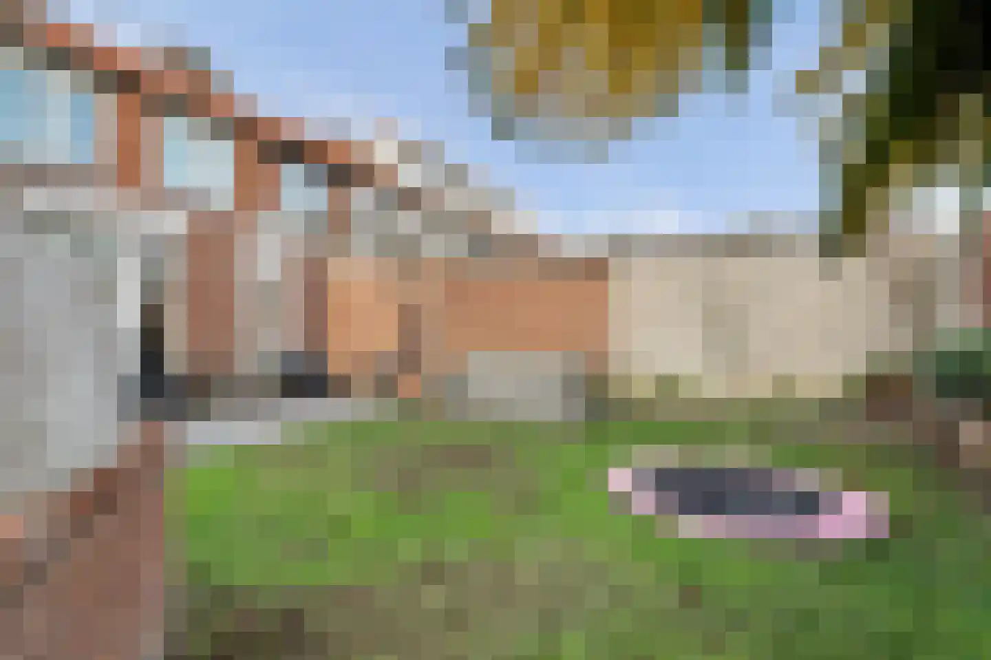 Weidestraat 2 Didam thumbnail 31