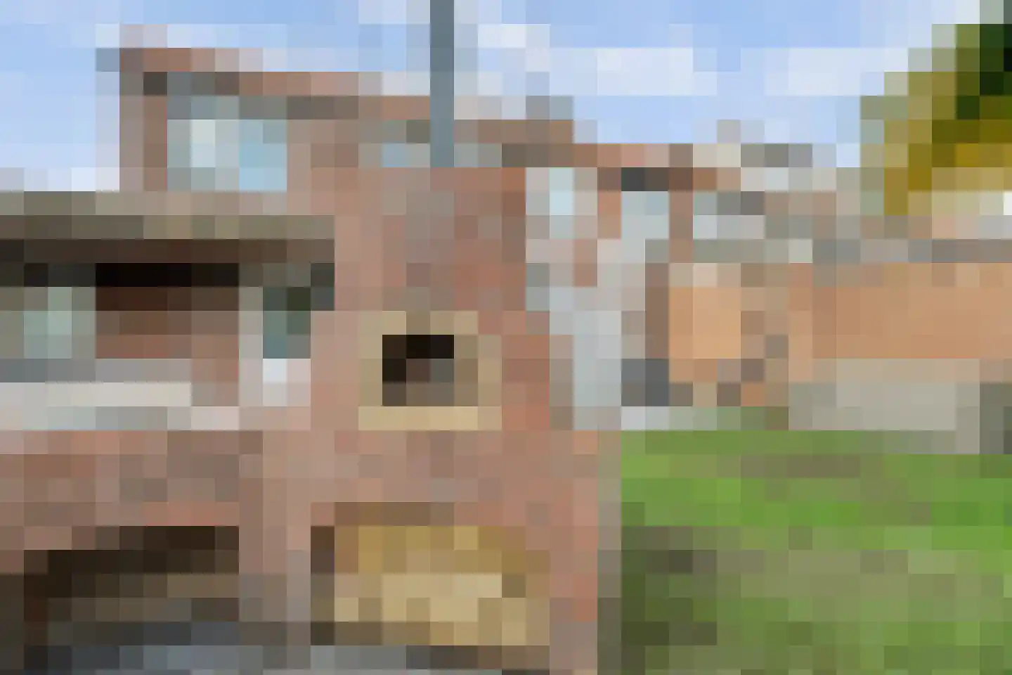 Weidestraat 2 Didam thumbnail 32