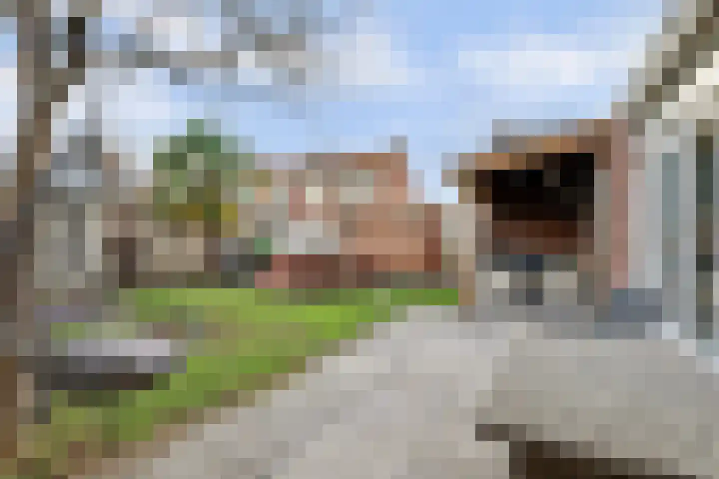 Weidestraat 2 Didam thumbnail 34