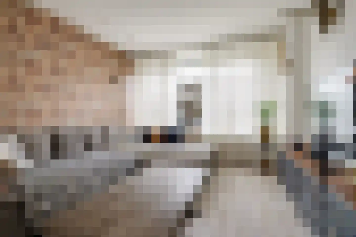 Weidestraat 2 Didam thumbnail 7