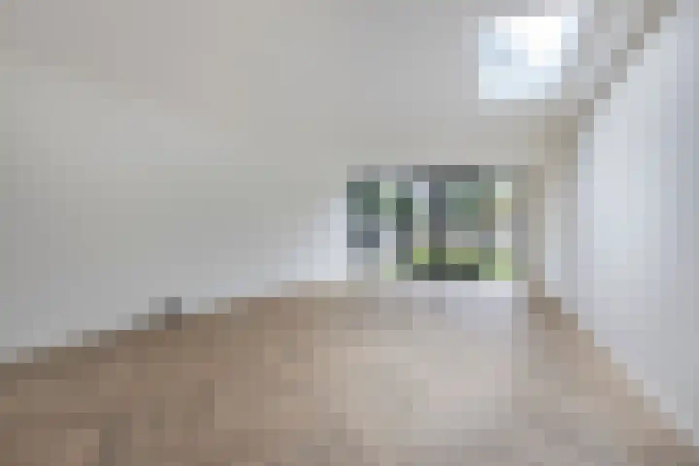 Weidestraat 22 Rosmalen thumbnail 7
