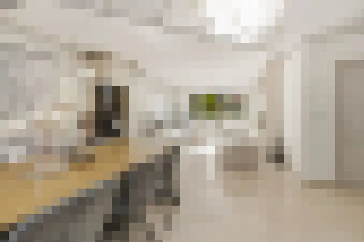 Weidestraat 29 Rosmalen thumbnail 10