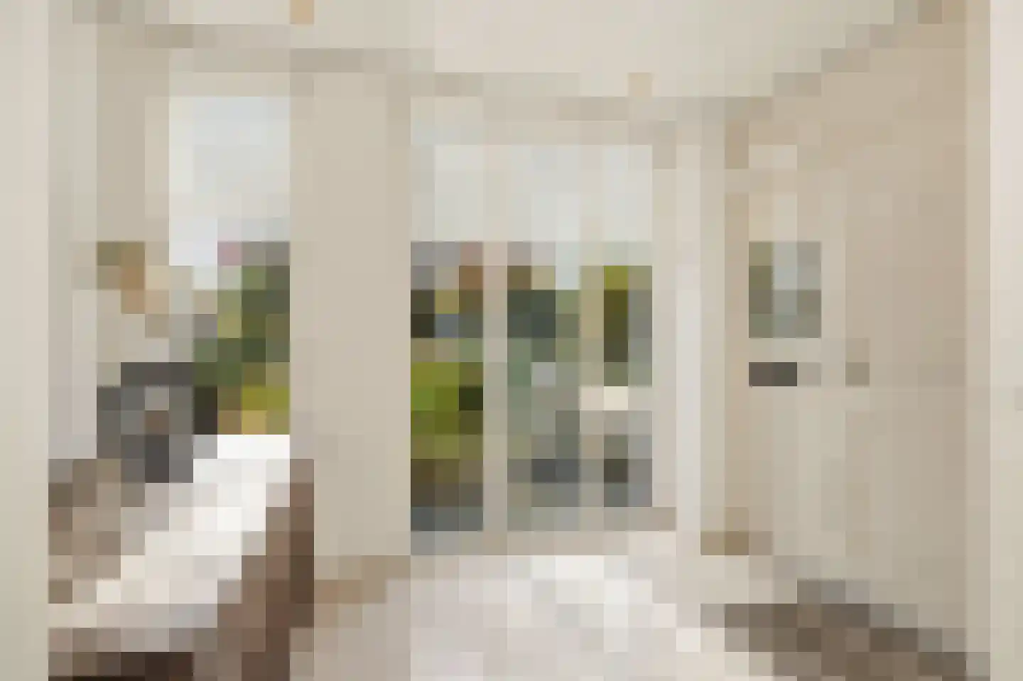 Weidestraat 29 Rosmalen thumbnail 21