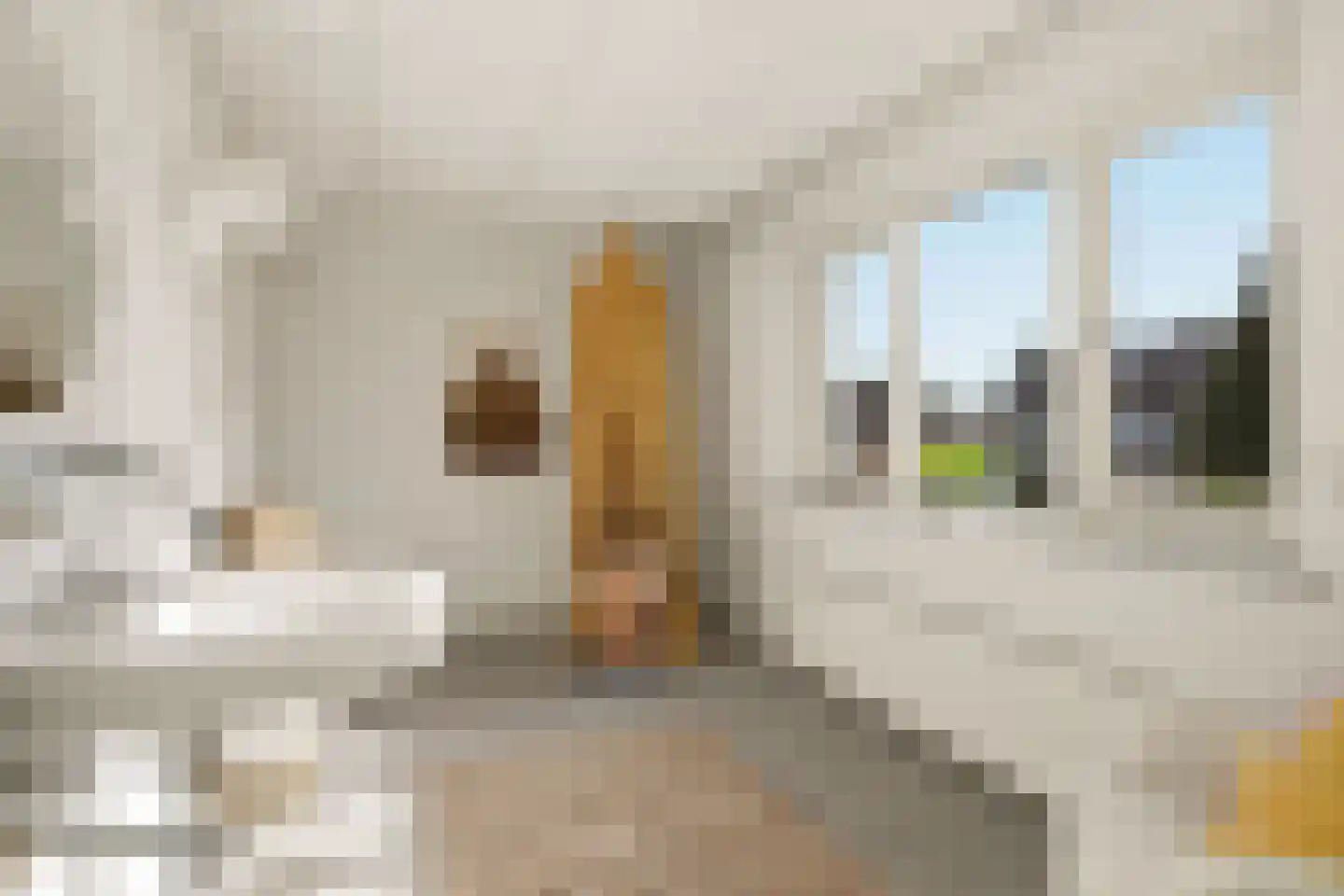 Weidestraat 29 Rosmalen thumbnail 52
