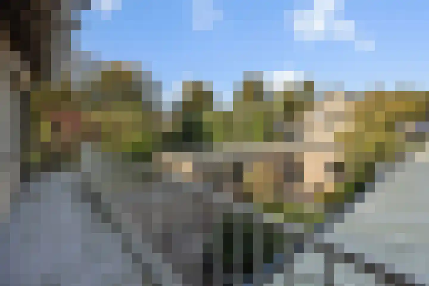 Weidestraat 29 Rosmalen thumbnail 66