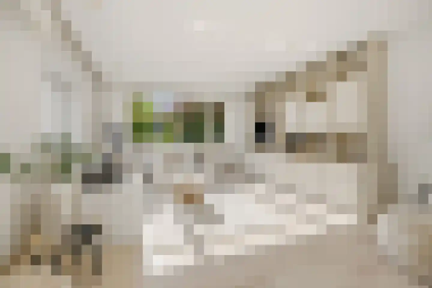 Weidestraat 29 Rosmalen thumbnail 7