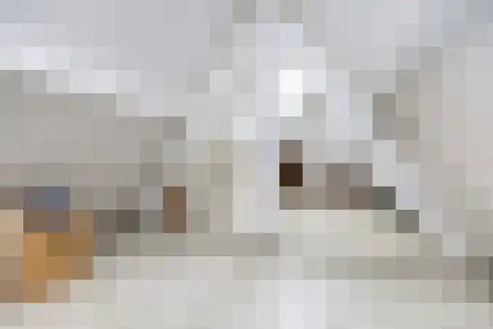 Weidestraat 3 A Apeldoorn thumbnail 16