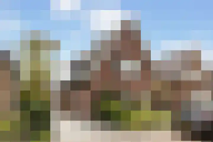Weidestraat 3 A Apeldoorn thumbnail 27