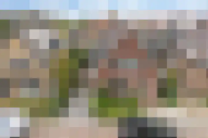 Weidestraat 3 A Apeldoorn thumbnail 29
