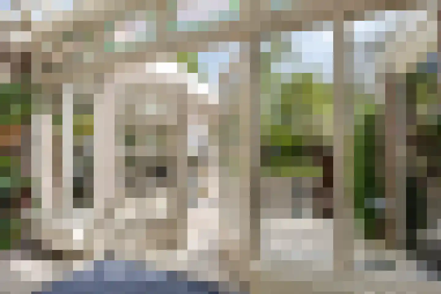 Weidestraat 30 Rosmalen thumbnail 15