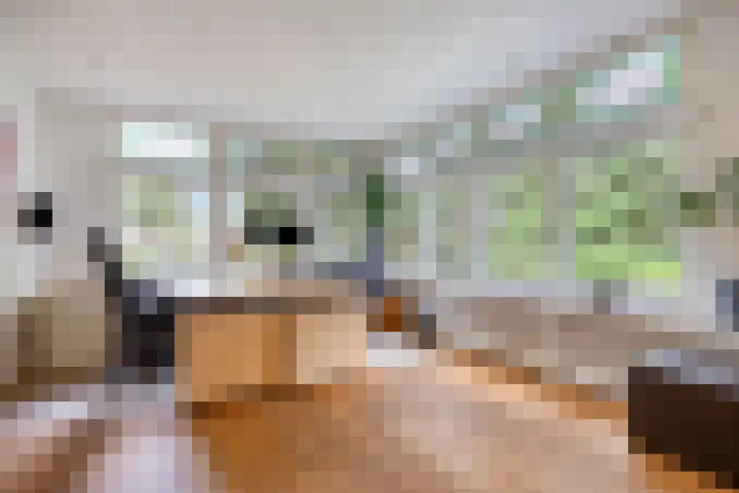 Weidestraat 30 Rosmalen thumbnail 18