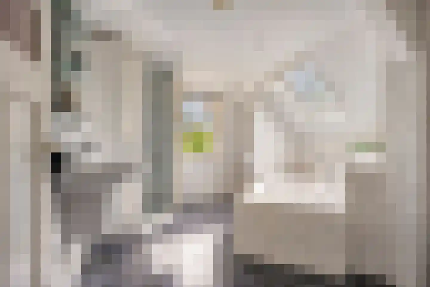 Weidestraat 30 Rosmalen thumbnail 42