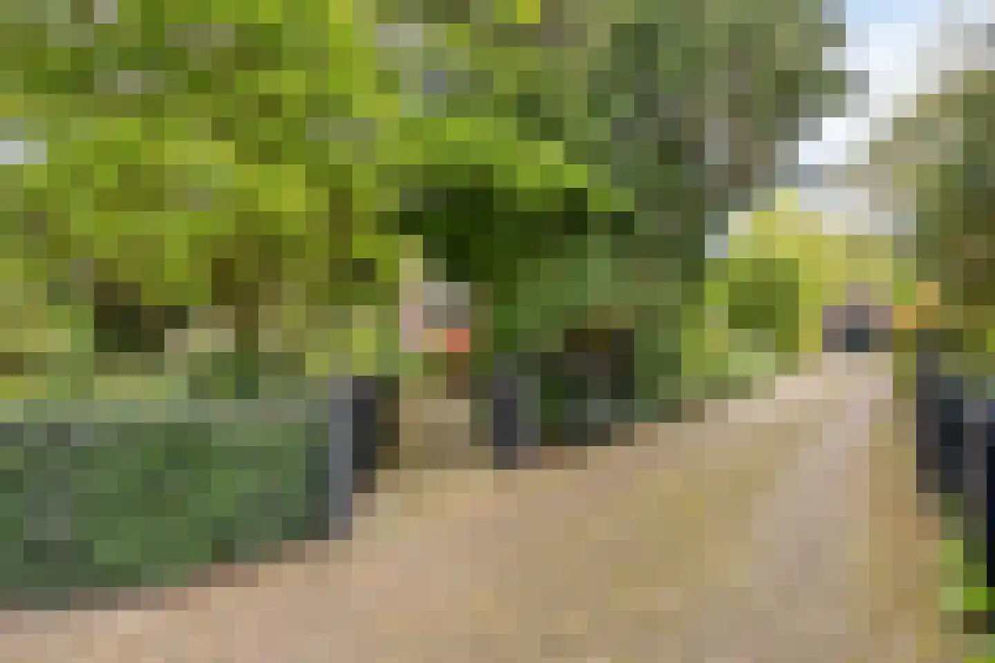 Weidestraat 30 Rosmalen thumbnail 49