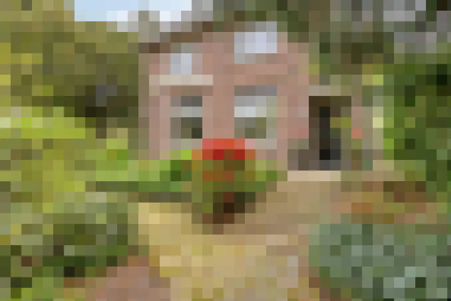 Weidestraat 30 Rosmalen thumbnail 50