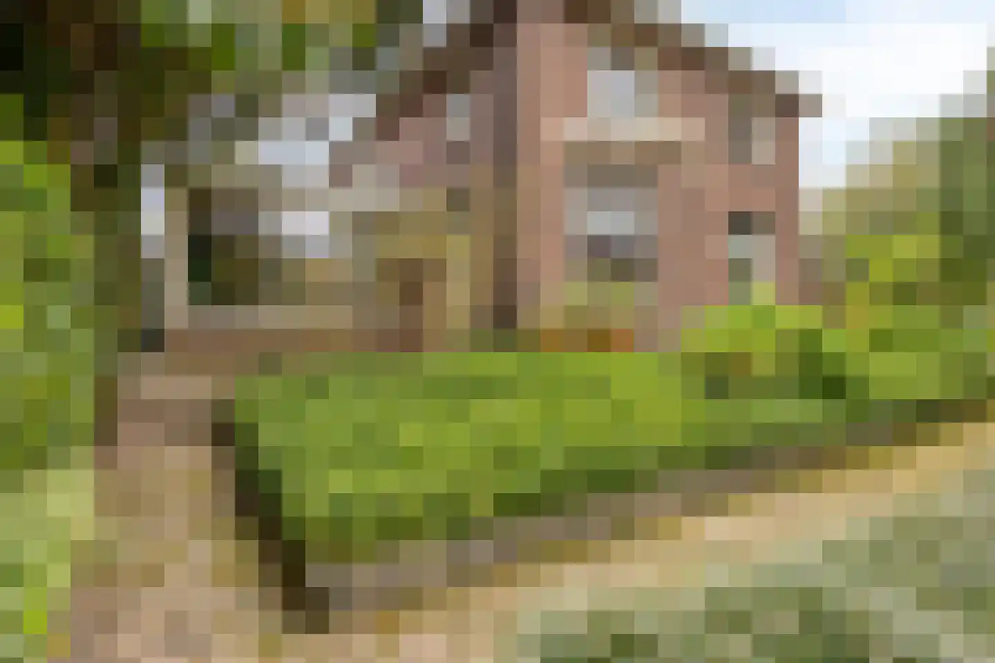 Weidestraat 30 Rosmalen thumbnail 52