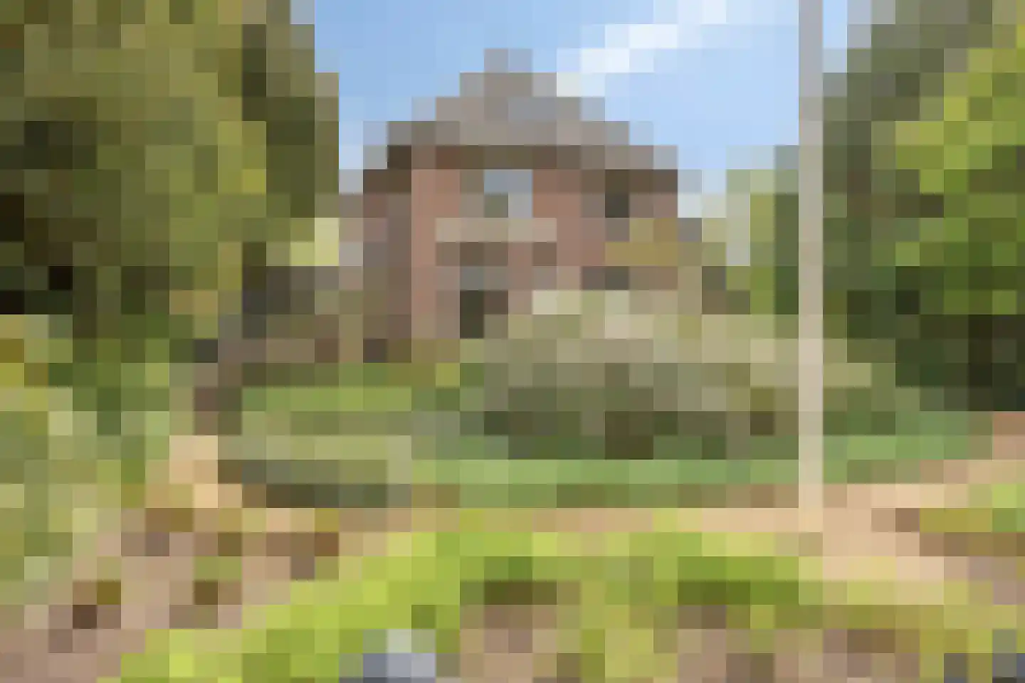 Weidestraat 30 Rosmalen thumbnail 61