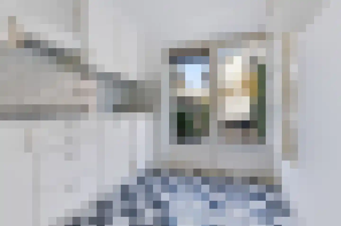 Weidestraat 4 Apeldoorn thumbnail 12