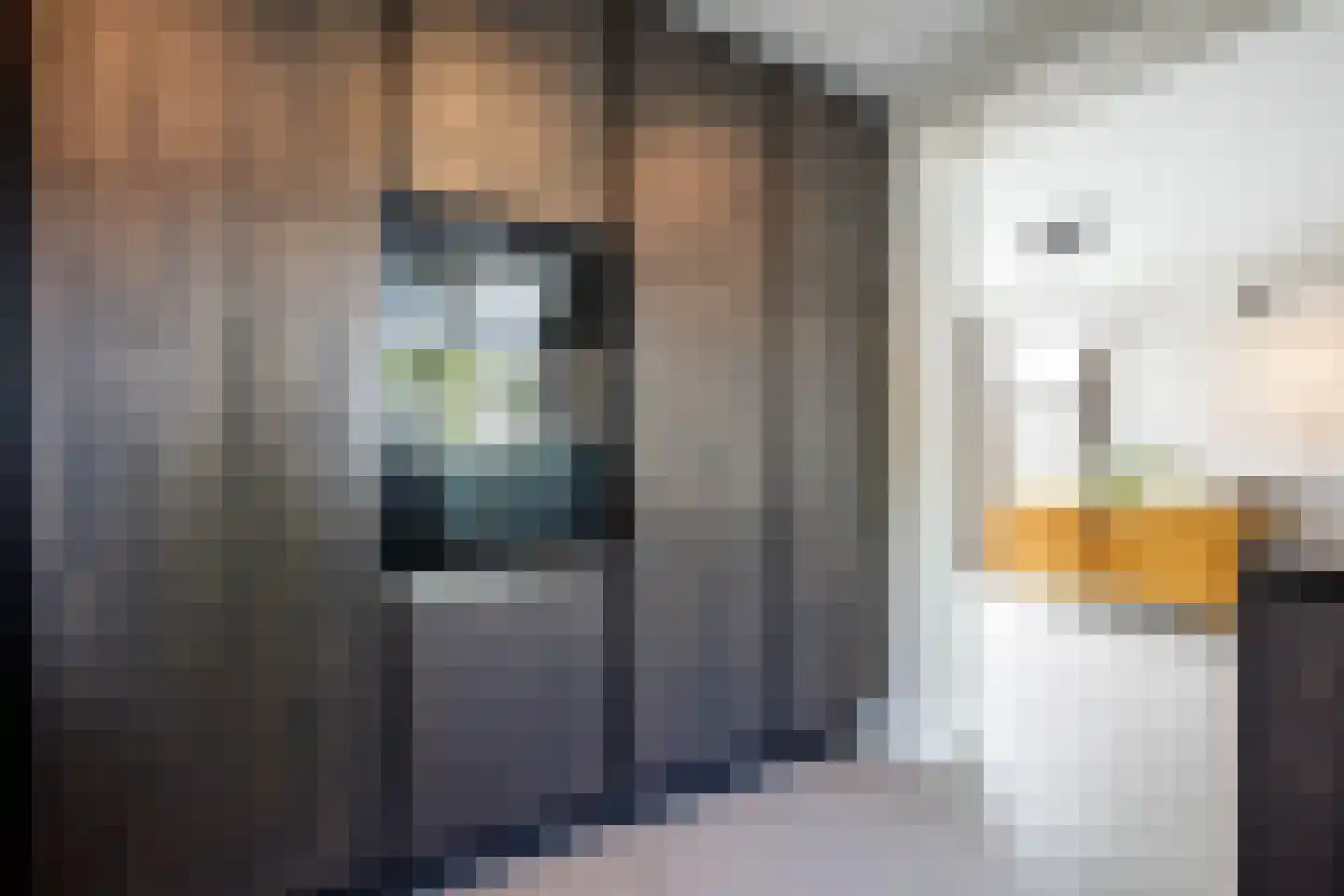 Weidestraat 41 Bergambacht thumbnail 17