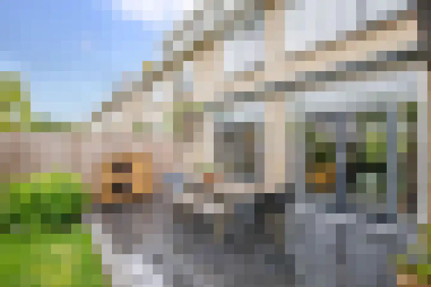 Weidestraat 41 Bergambacht thumbnail 39