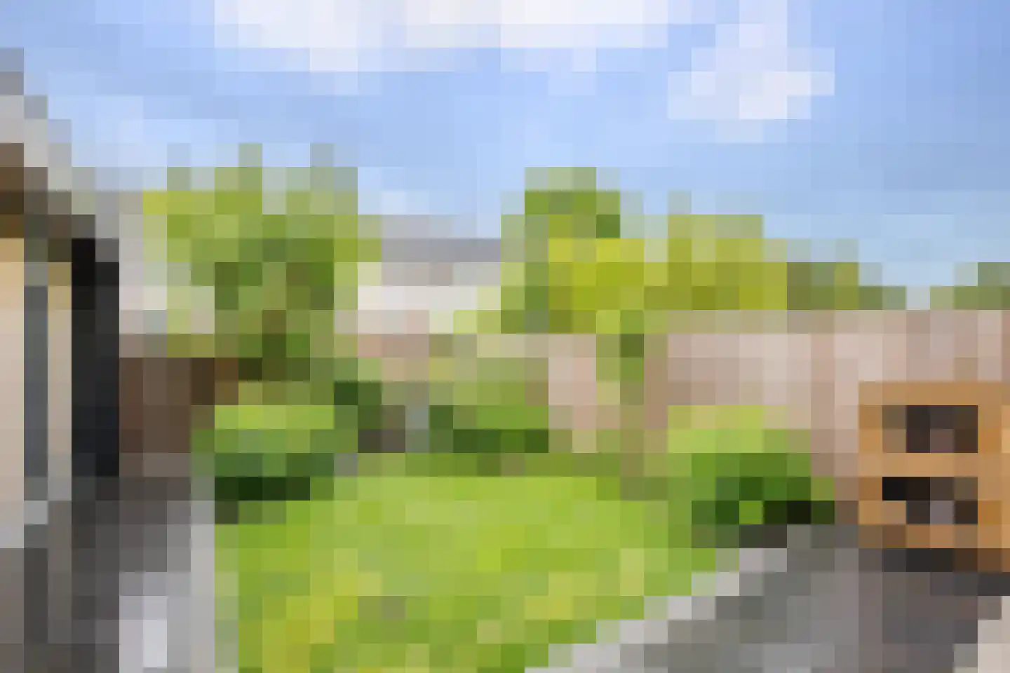 Weidestraat 41 Bergambacht thumbnail 40