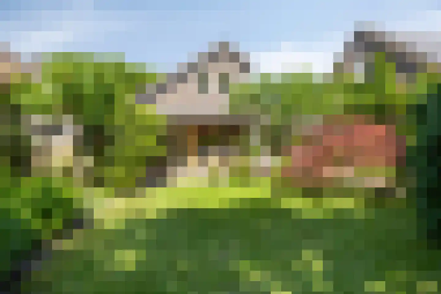Weidestraat 60 Rosmalen thumbnail 41