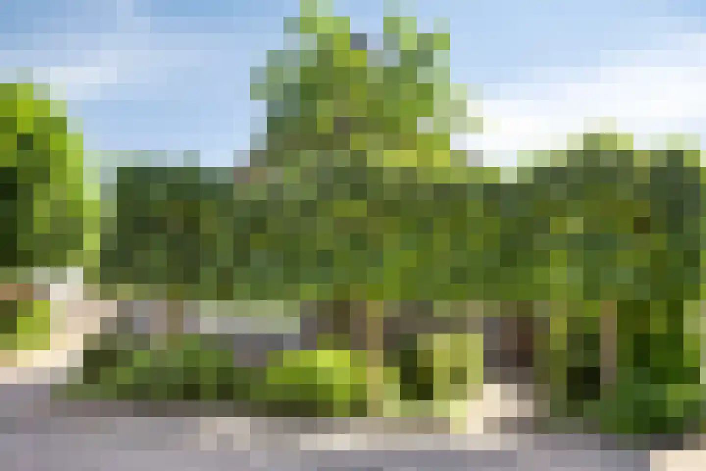 Weidestraat 60 Rosmalen thumbnail 55